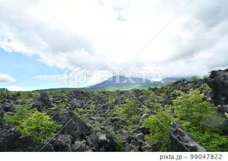 鬼押し出しの溶岩地帯の風景 99047822