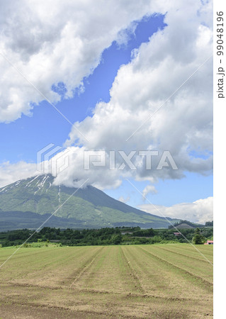 はずかしがり屋の羊蹄山 はずかしがり屋の羊蹄山 99048196
