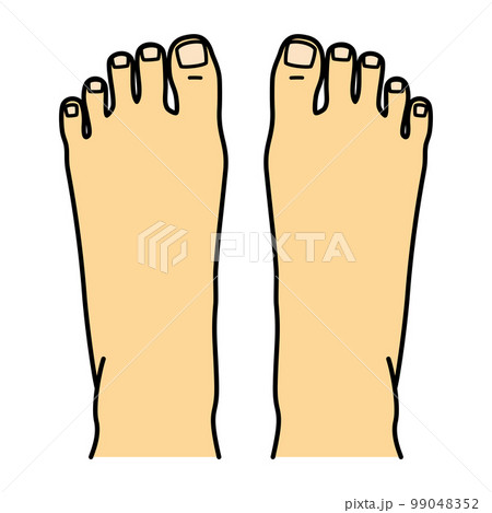足の甲　左右 99048352