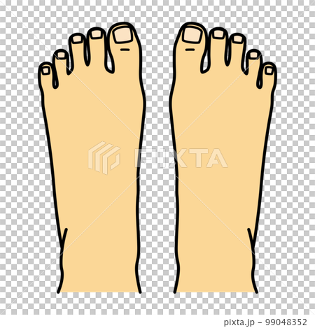 足の甲　左右 99048352