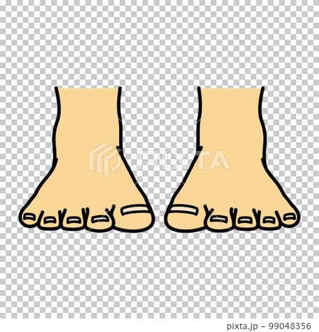 Leg foot toe side front Leg foot toe side front 99048356