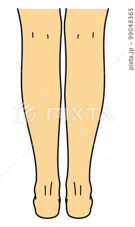 A back leg - Stock Illustration [8122813] - PIXTA