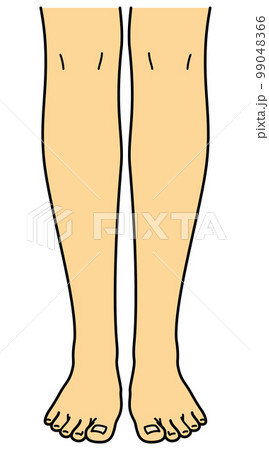 脚　足　前　足指側　両足 99048366