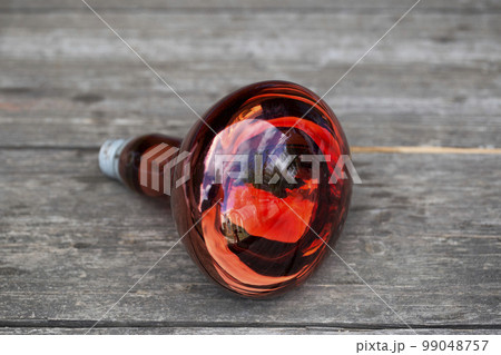 A red large lamp that radiates heat for animals and birds. Wooden background, close-up 99048757