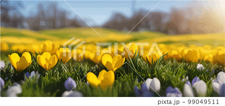Snowfall flower. Spring wild flower. Beautiful grass of nature. Sketch of snow light flower branch. Flowering plant. Snowy floral art. Vector illustration banner 99049511