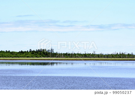 道東 風蓮湖 99050237