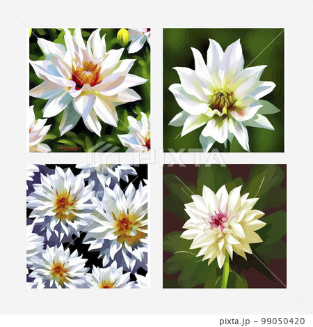 dahlia. Close-up. Spring flowers. , dahlia bud close-up. Multicolored image. Decor. Element. Vector illustration. Realistic close-up view, detailed petals dahlia. Close-up. Spring flowers. , dahlia bud close-up. Multicolored image. Decor. Element. Vector illustration. Realistic close-up view, detailed petals 99050420