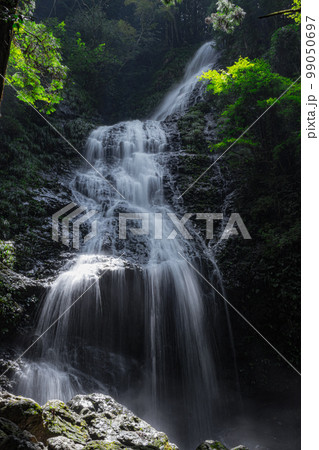 水量豊富な佐用町飛龍の滝 99050697