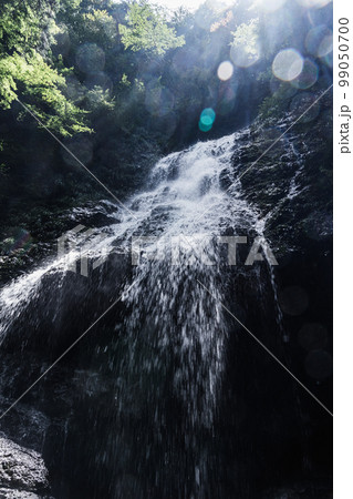 水量豊富な佐用町飛龍の滝 99050700