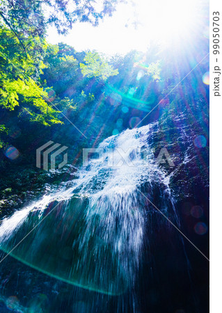 水量豊富な佐用町飛龍の滝 99050703