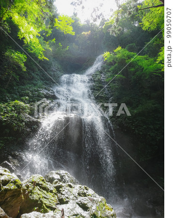 水量豊富な佐用町飛龍の滝 99050707