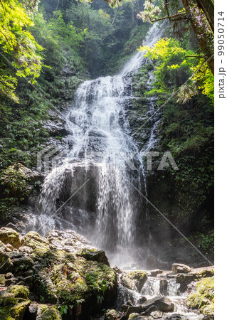 水量豊富な佐用町飛龍の滝 99050714