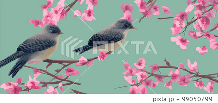 drawing a bird on a flowering tree branches. Vintage sketch of beautiful birds with flowers. Welcoming card design. , banner illustration. Ideal for fabric, wallpaper, gifts or postcard design. drawing a bird on a flowering tree branches. Vintage sketch of beautiful birds with flowers. Welcoming card design. , banner illustration. Ideal for fabric, wallpaper, gifts or postcard design. 99050799