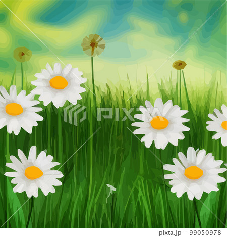 Spring background with chamomile flowers, green grass, blue sky. Can be used for Easter, birthday, party, anniversary, March 8, Women's Day. Seasonal Sales 99050978
