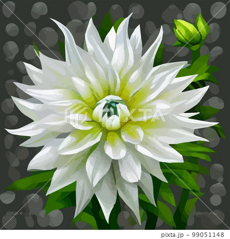 dahlia. Close-up. Spring flowers. , dahlia bud close-up. Multicolored image. Decor. Element. Vector illustration. Realistic close-up view, detailed petals 99051148