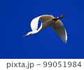 サギの飛翔 99051984