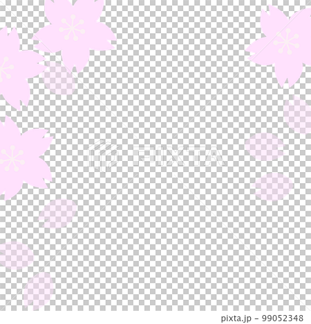 flower, cherry blossom, vector 99052348