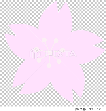 flower, cherry blossom, vector 99052349