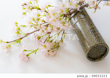 【卒業イメージ】卒業証書筒・賞状筒【物素材】 【卒業イメージ】卒業証書筒・賞状筒【物素材】 99053323