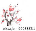 梅の花 99053531