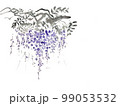 藤の花 99053532