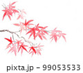 赤い紅葉 99053533