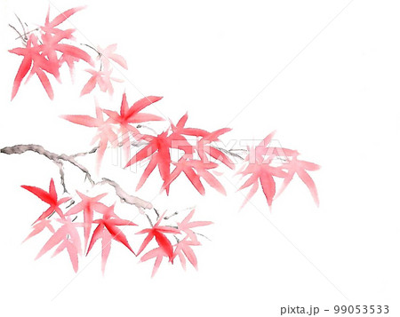 赤い紅葉 赤い紅葉 99053533