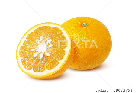 甘夏 みかん イラスト リアル 甘夏 みかん イラスト リアル 99053753