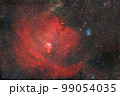 コーン星雲とクリスマスツリー星団_2022.12 99054035