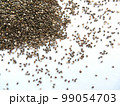 Chia seeds isolated on white background. Black grains scattered on white surface. Super food, snack, breakfast, ingredient milking cooking photo. Proper nutrition, healthy lifestyle, diet, copy space 99054703