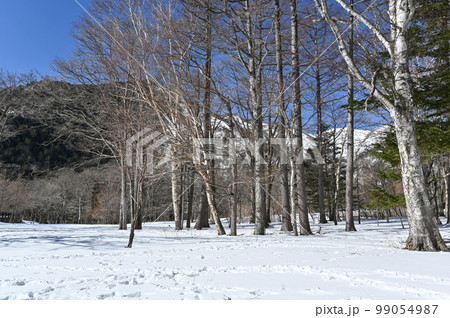 栃木県 日光 湯ノ湖畔 冬景色の風景 栃木県 日光 湯ノ湖畔 冬景色の風景 99054987
