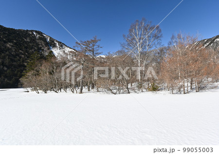 栃木県 日光 湯ノ湖畔 冬景色の風景 99055003