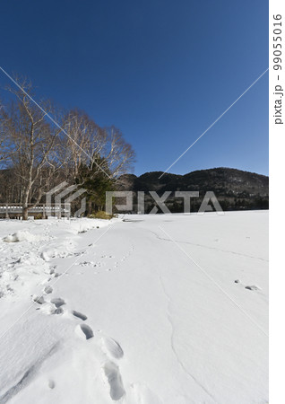 栃木県 日光 湯ノ湖畔 冬景色の風景 99055016