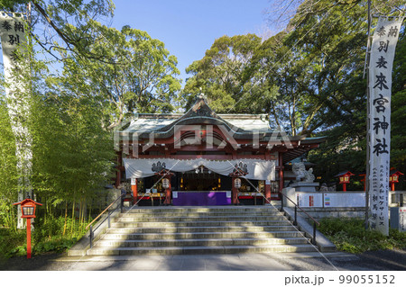 熱海の來宮神社 熱海の來宮神社 99055152
