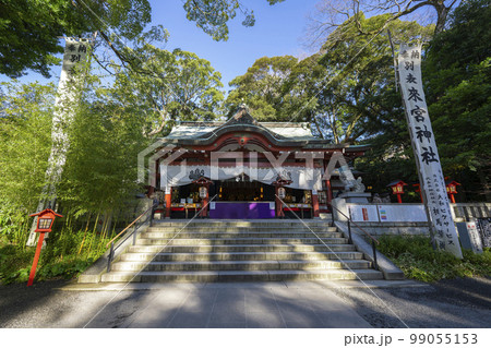 熱海の來宮神社 熱海の來宮神社 99055153