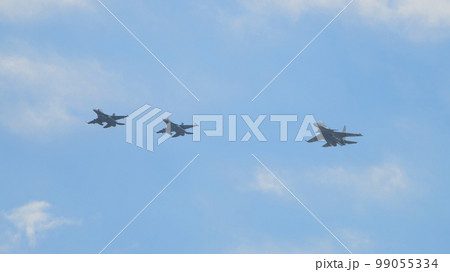 航空自衛隊F-2&インド空軍スホーイSu-30MKI編隊 99055334