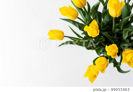 Bouquet of yellow tulips Bouquet of yellow tulips 99055863