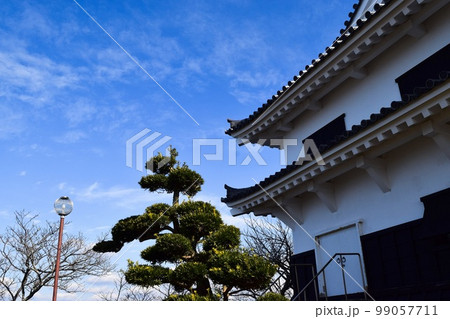 城山城と松の木と広がる青空(横構図) 城山城と松の木と広がる青空(横構図) 99057711
