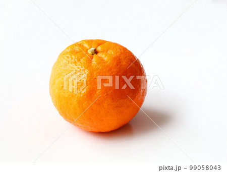 ポンカン一個（影あり） 99058043