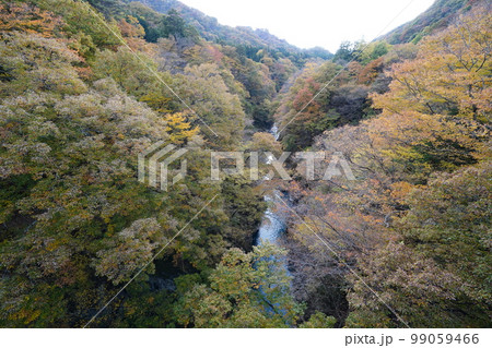 群馬県 秋の吾妻峡 八ッ場ダム下流の吾妻峡橋付近の吾妻峡の眺め 2022年11月4日 群馬県 秋の吾妻峡 八ッ場ダム下流の吾妻峡橋付近の吾妻峡の眺め 2022年11月4日 99059466