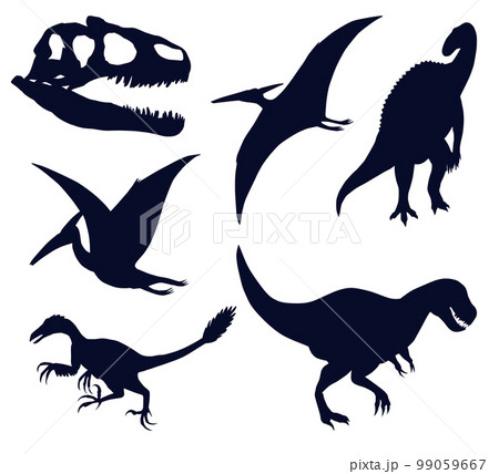Set of dinosaurs and pterosaurs silhouettes on white, tyrannosaurus, pteranodon, pterodactylus, skull, iguanodon 99059667