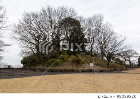 若田原遺跡群 若田大塚古墳 若田原遺跡群 若田大塚古墳 99059820