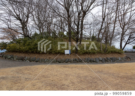 若田原遺跡群　楢ノ木古墳 99059859
