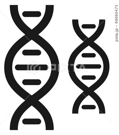 Dna helix icon. Gene sign. Black biology symbol 99060475