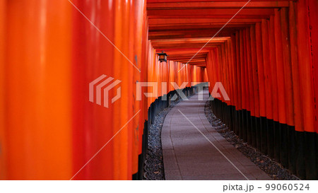 京都の伏見稲荷大社の鳥居の風景 99060524