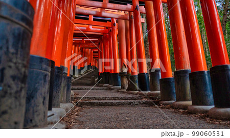 京都の伏見稲荷大社の鳥居の風景 99060531