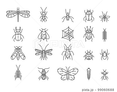 Insects icons. Line ant and mosquito, butterfly and different bugs. Animals with web, beetle, bees and pests, dragonflies and mantis. Outline pictogram. Graphic creature vector illustration garish set Insects icons. Line ant and mosquito, butterfly and different bugs. Animals with web, beetle, bees and pests, dragonflies and mantis. Outline pictogram. Graphic creature vector illustration garish set 99060688