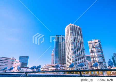 日本の横浜都市景観 JR横浜タワーや横浜駅、横浜ベイクォーターなどを望む。かわいいユリカモメも鎮座 99061626