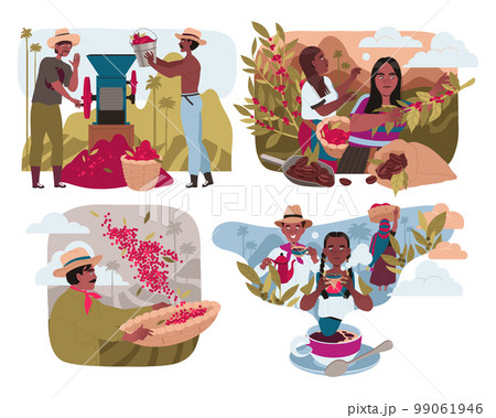 People Harvesting Coffee Crop and Drinking Hot Aromatic Beverage Vector Set 99061946
