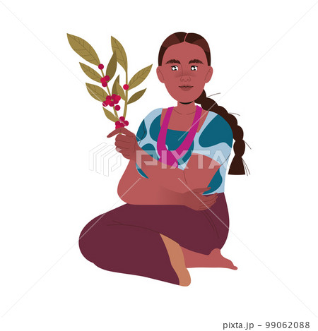 Woman Harvesting Coffee Crop Picking Ripe Red Berry from Branch Vector Illustration 99062088